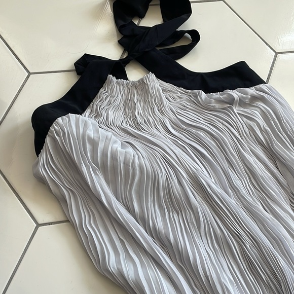 Aritzia le fou Wilfred Couvin Dress in Sea Salt/Black (light grey) Size XS - Picture 4 of 7